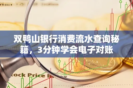 双鸭山银行消费流水查询秘籍，3分钟学会电子对账