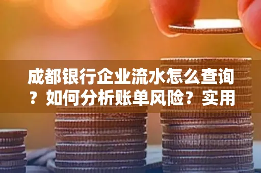 成都银行企业流水怎么查询？如何分析账单风险？实用指南