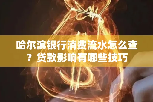 哈尔滨银行消费流水怎么查？贷款影响有哪些技巧